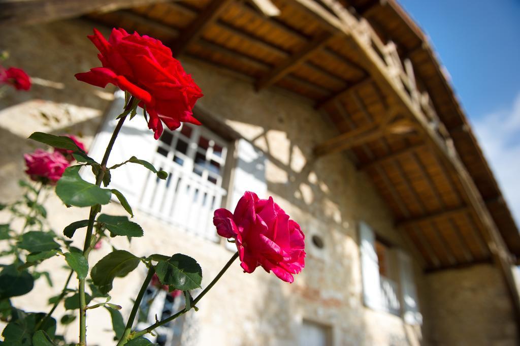 Le Poutic Gite Et Maison D'Hotes Creon-d'Armagnac Екстериор снимка